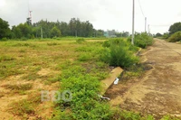 Xã Phước Hòa (huyện Tuy Phước): Hoang hóa Khu di dãn dân Huỳnh Giản