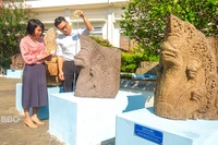 Bộ sưu tập phù điêu rắn Naga tại tháp Dương Long: Hướng tới lập hồ sơ đề nghị công nhận bảo vật quốc gia