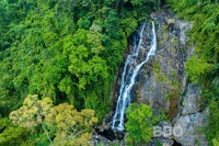 Thác 4 tầng - vẻ đẹp kỳ vĩ giữa đại ngàn