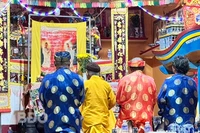 Phát hiện xác cá voi trôi dạt vào bờ biển xã Mỹ An