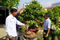 Chủ tịch Hội Nông dân nhiệt huyết , trách nhiệm