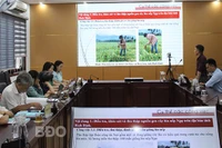 Ứng dụng công nghệ sinh học để xác định tính đặc hữu của giống lúa nếp ngự tại Hoài Sơn