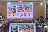 Nghiên cứu quy trình canh tác theo hướng hữu cơ và chế biến sâu một số sản phẩm từ cây đậu phụng