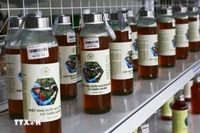 Hoa Kỳ gia hạn ban hành kết luận rà soát lần thứ nhất sản phẩm mật ong Việt Nam