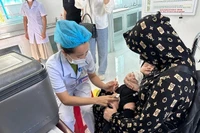 Thực trạng và các yếu tố tác động đến mức sinh tại Việt Nam hiện nay