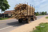 Xử lý dứt điểm hoạt động của xe máy cày tự chế kéo rơ-moóc