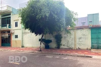 Xung đột vì chỗ đậu xe: Cần thượng tôn pháp luật, hài hòa lợi ích