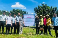 Hiệu quả từ bón phân hữu cơ vi sinh cho cây trồng