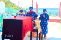 Chôn cất cá heo con dạt vào bãi biển Nhơn Lý