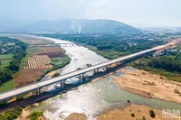 Nỗ lực đẩy nhanh tiến độ thi công cao tốc Quảng Ngãi - Hoài Nhơn