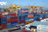 Vận tải biển giữ đà tăng trưởng mạnh