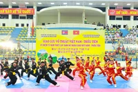 Bình Định biểu diễn võ cổ truyền tại Chương trình giao lưu Việt Nam - Triều Tiên