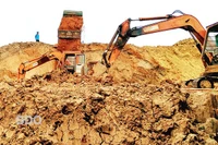 Tây Sơn siết chặt kiểm soát nguồn nguyên liệu sản xuất gạch ngói