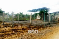 Chiếm dụng mặt đê xây nhà trái phép