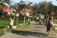 Phước Hưng xây dựng nông thôn mới kiểu mẫu