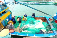 Thiết lập 2 khu vực cấm khai thác thủy sản