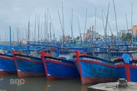 Hoài Nhơn tiếp tục đẩy mạnh chống khai thác IUU
