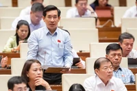 Nên sử dụng tiếng Việt và tiếng Anh trong Trung tâm Tài chính quốc tế tại Việt Nam