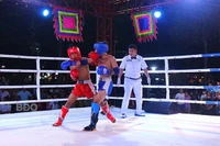 Mãn nhãn Đêm võ đài Bình Định