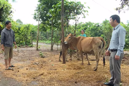 Hỗ trợ sinh kế, giúp đồng bào dân tộc thiểu số thoát nghèo