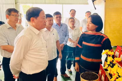 Tạo đà cho “trụ đỡ” của ngành nông nghiệp bứt phá - Kỳ 2: Chuẩn hóa vùng sản xuất