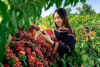 Nông dân thi đua làm giàu, phát triển nông thôn