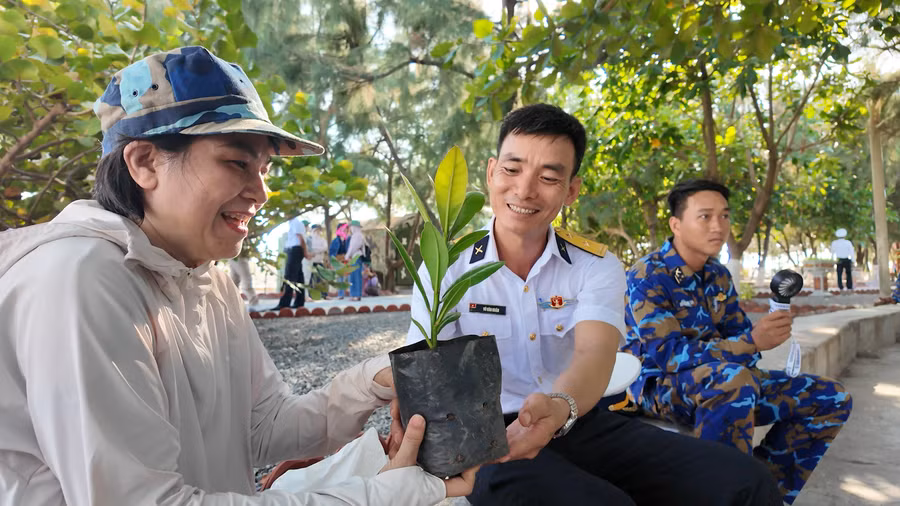 chinh-tri-vien-dao-sinh-ton-dong-dang-gioi-thieu-voi-tac-gia-ve-dac-tinh-cay-bang-vuong-dang-trong-tai-dao.png