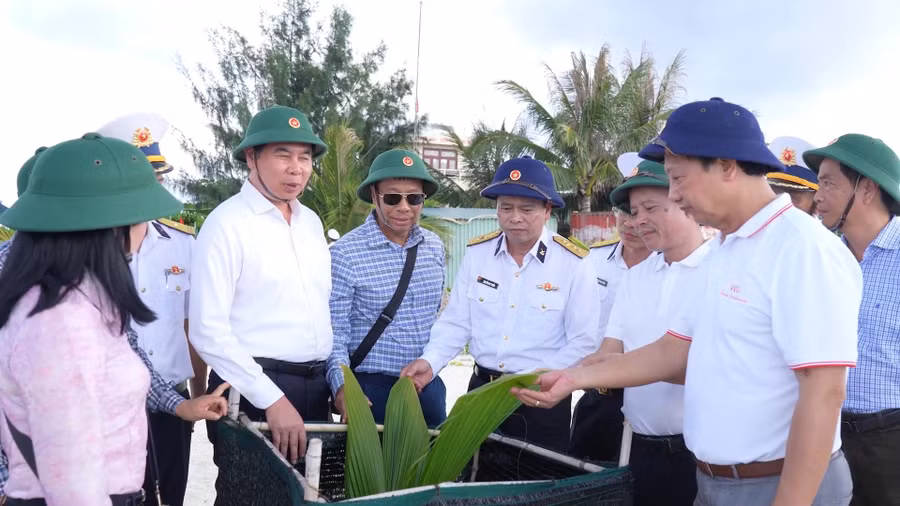 pct-ubnd-tinh-lhg-tham-vuon-cay-o-dao-nui-le-c.jpg