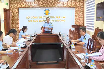 Gia Lai: Tiêu hủy hơn 3.000 sản phẩm là tang vật vi phạm hành chính bị tịch thu