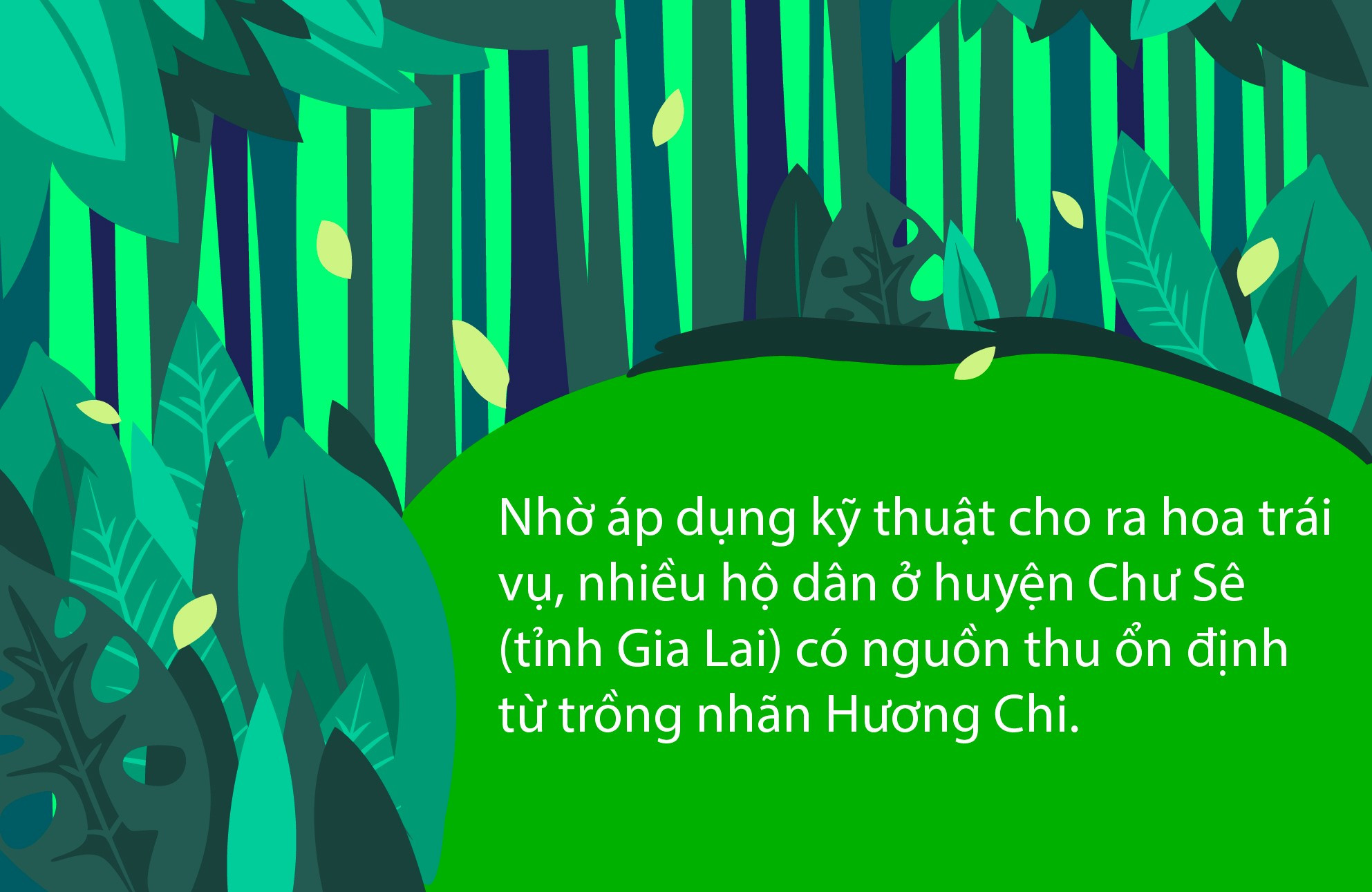 huongchi-02.jpg