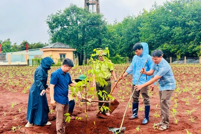 Đức Cơ phát động "Tết trồng cây đời đời nhớ ơn Bác Hồ”
