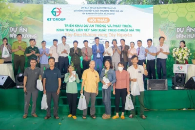 Phát động dự án trồng 100 triệu cây đàn hương trên vùng Tây Nguyên