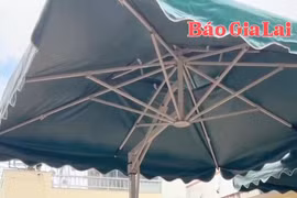 Khởi động kỳ thi THPT 2025: Gửi lời chúc đến các sĩ tử bình tĩnh, tự tin, chiến thắng