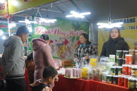 Rộn ràng lễ hội ẩm thực đường phố Pleiku