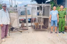 Người dân xã Ayun giao nộp 2 cá thể khỉ cho lực lượng Công an