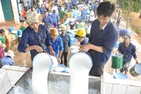 "Tập kết" mủ cao su tại Công ty TNHH một thành viên Tổng Công ty 15-Chi nhánh Công ty 75. Ảnh: Internet
