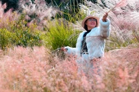 Sơn Lang đẹp mơ màng mùa cỏ lau hồng nở rộ.