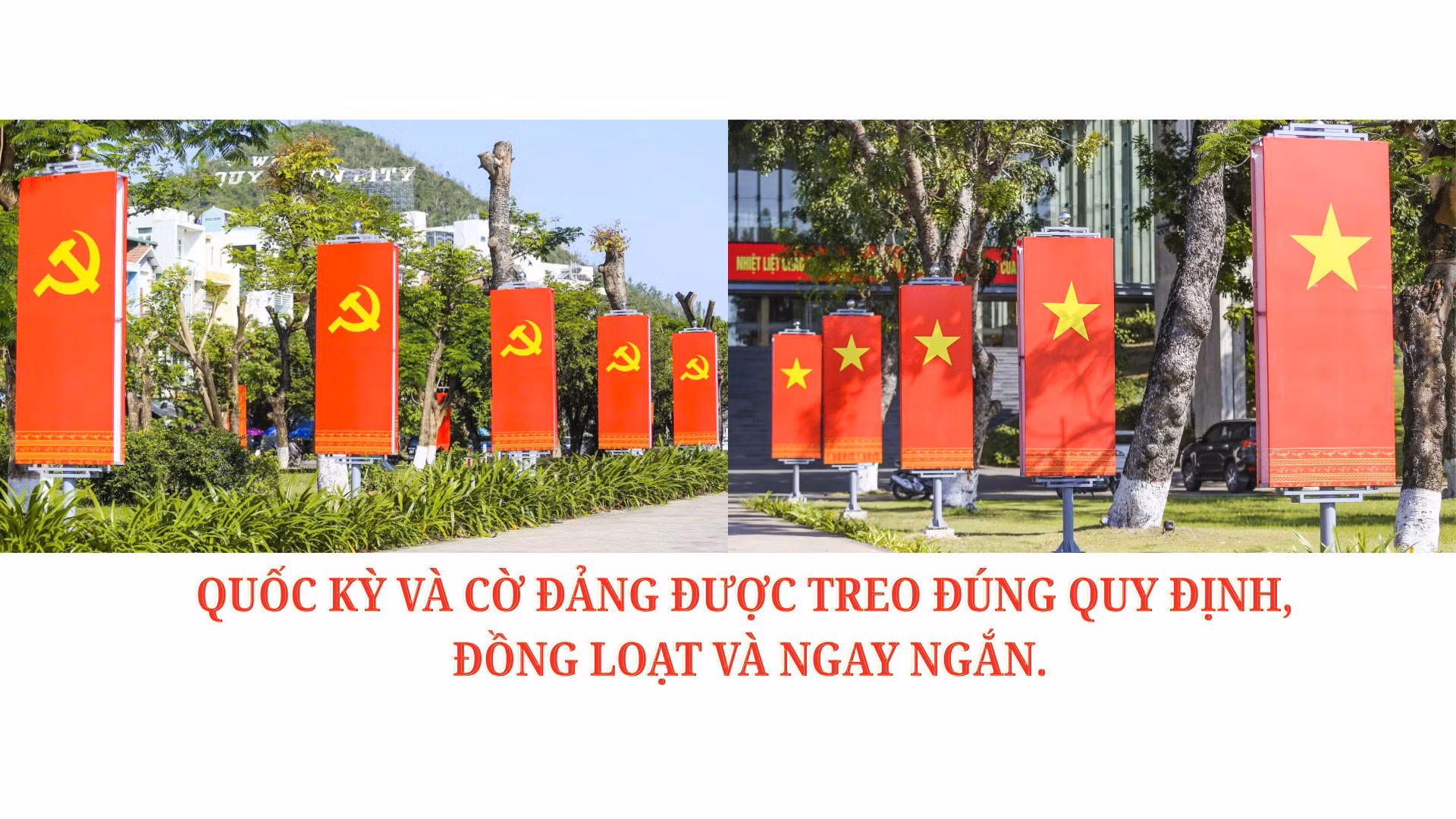 quoc-ky-va-co-dang-duoc-treo-dung-quy-dinh-dong-loat-va-ngay-ngan-8821.png