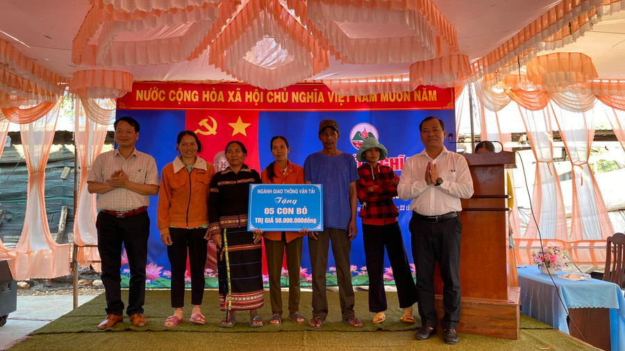 Sở Giao thông-Vận tải tặng 5 con bò hỗ trợ cho các gia đình đăng ký thoát nghèo trong năm 2024. Ảnh: Sơn Ca Sở Giao thông-Vận tải tặng 5 con bò hỗ trợ cho các gia đình đăng ký thoát nghèo trong năm 2024. Ảnh: Sơn Ca