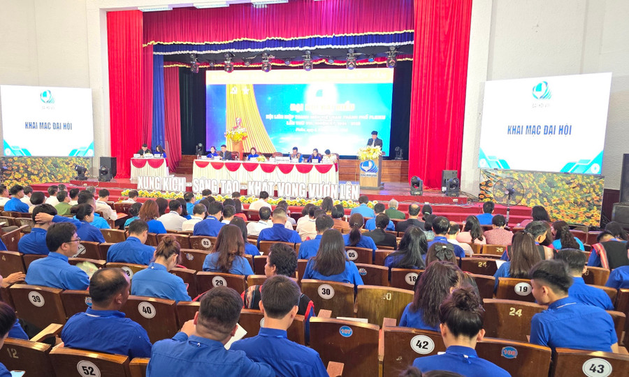 Quang cảnh Đại hội Hội LHTN Việt Nam TP. Pleiku lần thứ VIII. Ảnh: P.L Quang cảnh Đại hội Hội LHTN Việt Nam TP. Pleiku lần thứ VIII. Ảnh: P.L