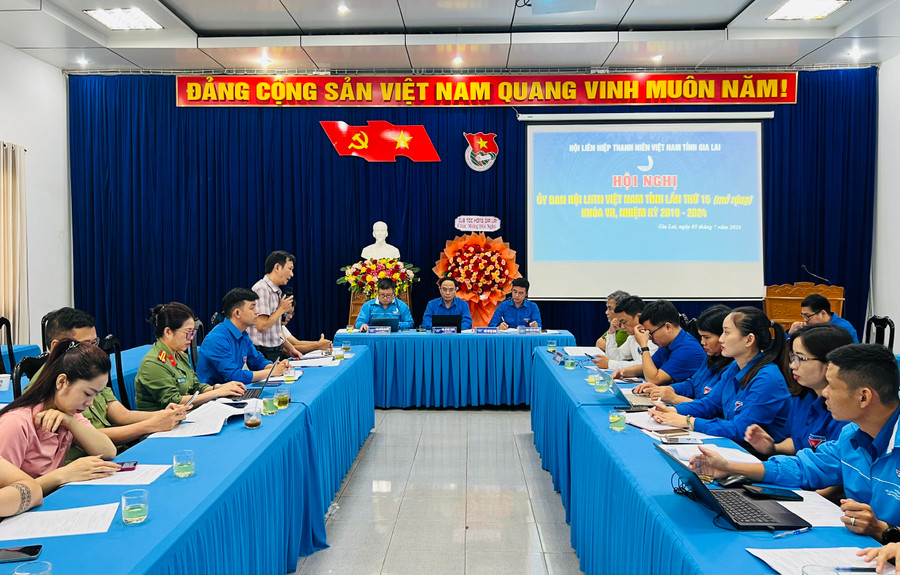 Quang cảnh hội nghị Ủy ban Hội LHTN Việt Nam tỉnh lần thứ 15. Ảnh: P.L