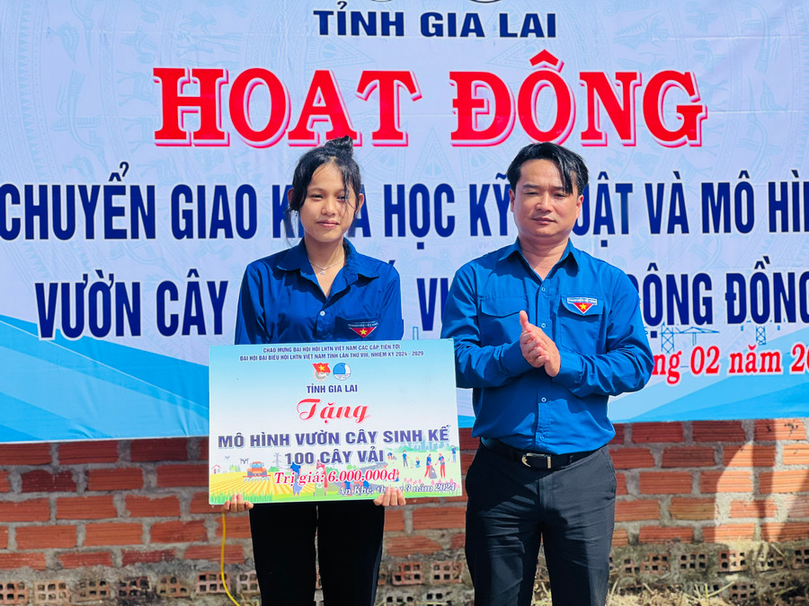 Phó Bí thư Tỉnh Đoàn Đỗ Duy Nam (bìa phải) trao tặng mô hình sinh kế cho thanh niên xã Cửu An (thị xã An Khê). Ảnh: P.L