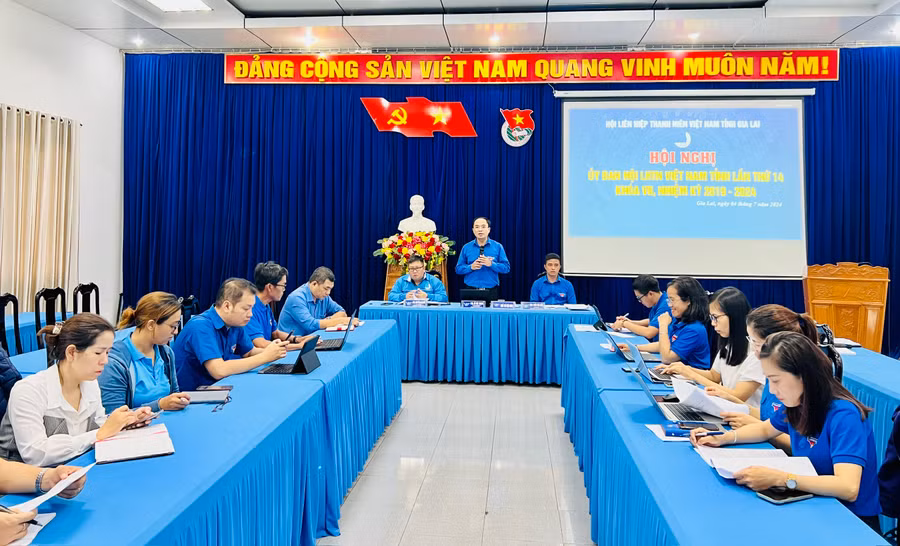 Quang cảnh hội nghị góp ý văn kiện Đại hội Hội LHTN Việt Nam tỉnh: Ảnh: P.L