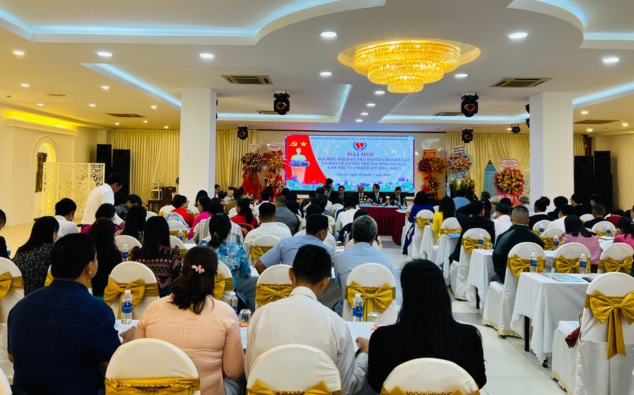 Quang cảnh Đại hội Hội Bảo trợ người khuyết tật và Bảo vệ quyền trẻ em tỉnh. Ảnh: P.L Quang cảnh Đại hội Hội Bảo trợ người khuyết tật và Bảo vệ quyền trẻ em tỉnh. Ảnh: P.L