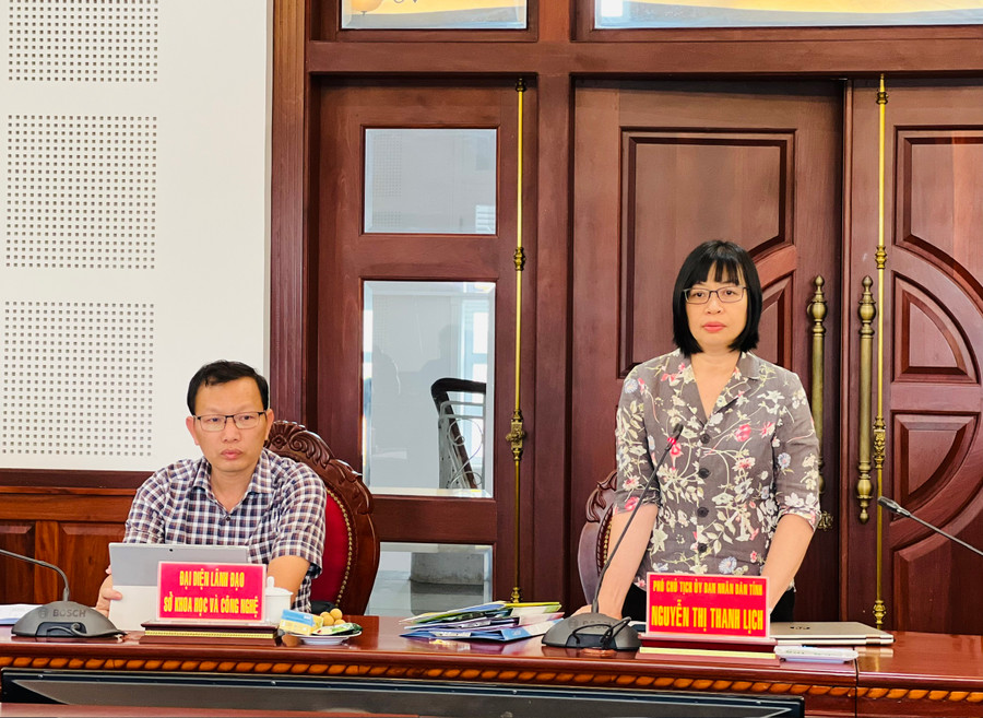 Phó Chủ tịch UBND tỉnh Nguyễn Thị Thanh Lịch phát biểu chỉ đạo tại buổi làm việc. Ảnh: P.L