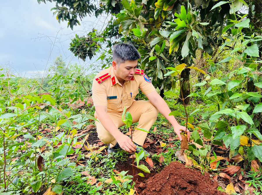 Thượng úy Nguyễn Hữu Hiếu tham gia hoạt động tình nguyện trồng cây xanh. Ảnh: P.L