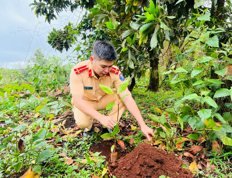 Thượng úy Nguyễn Hữu Hiếu tham gia hoạt động trồng cây xanh tại xã Gào (TP. Pleiku). Ảnh: M.N Thượng úy Nguyễn Hữu Hiếu tham gia hoạt động trồng cây xanh tại xã Gào (TP. Pleiku). Ảnh: M.N