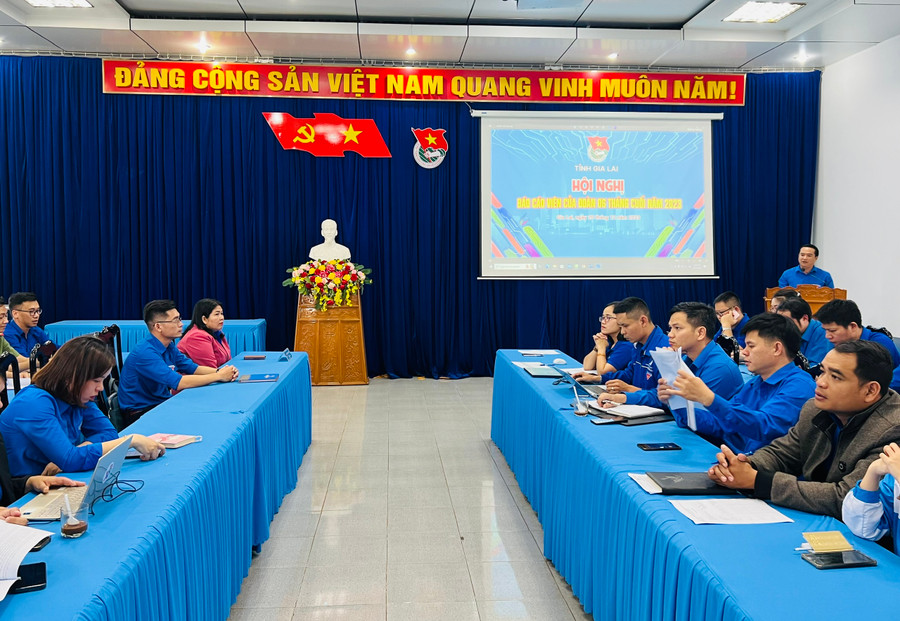 Quang cảnh hội nghị báo cáo viên của Đoàn. Ảnh: M.N Quang cảnh hội nghị báo cáo viên của Đoàn. Ảnh: M.N