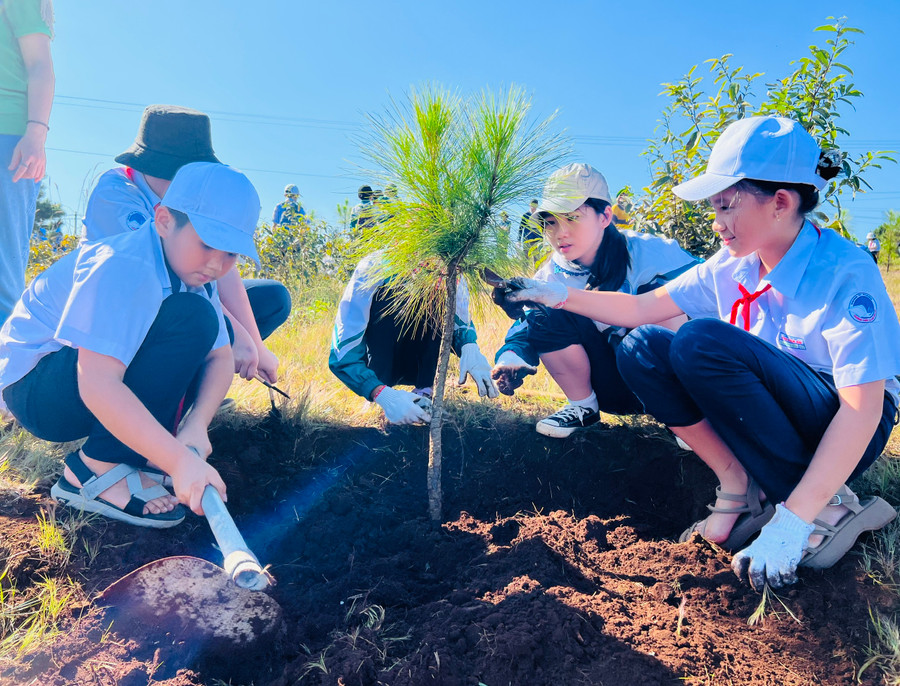 Học sinh Trường Tiểu học Chu Văn An tham gia hoạt động chăm sóc cây trồng. Ảnh: M.N Học sinh Trường Tiểu học Chu Văn An tham gia hoạt động chăm sóc cây trồng. Ảnh: M.N