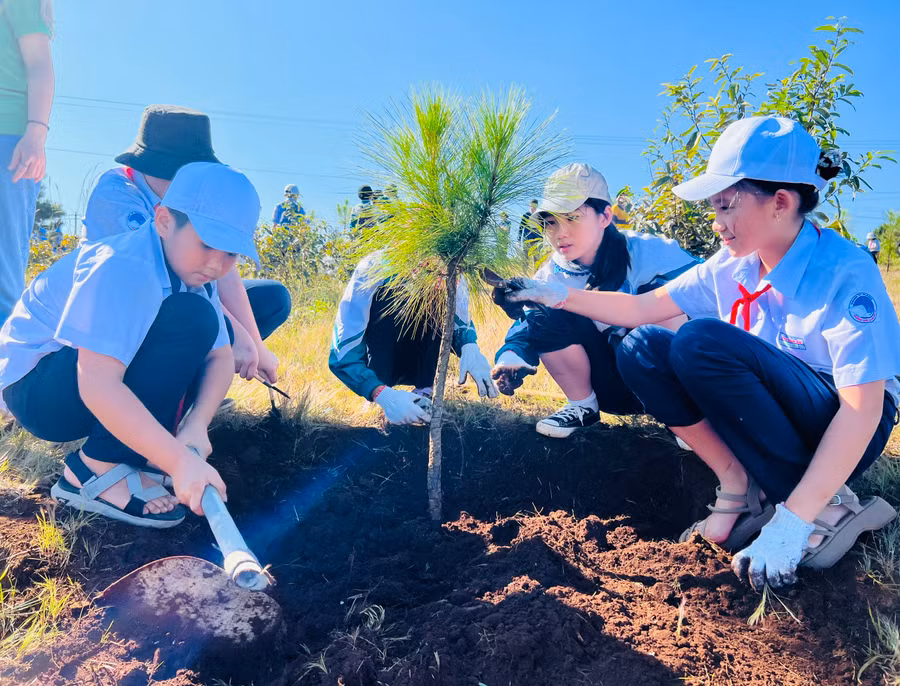 Học sinh Trường Tiểu học Chu Văn An tham gia hoạt động chăm sóc cây trồng. Ảnh: M.N